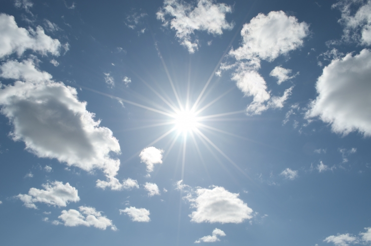 Soleil de canicule Vignette