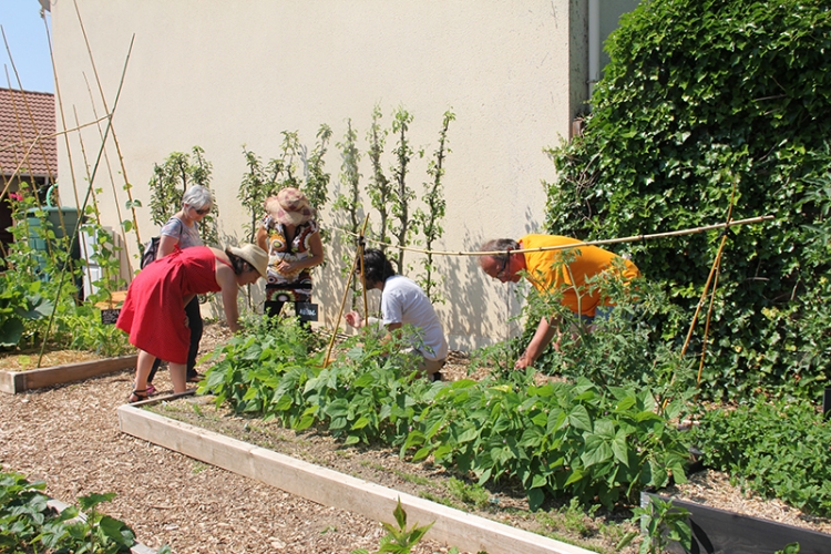 Jardin école Vignette