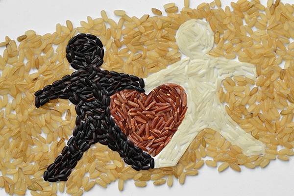 Epices & Riz Vignette