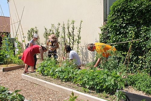 Jardin pédagogique Vignette