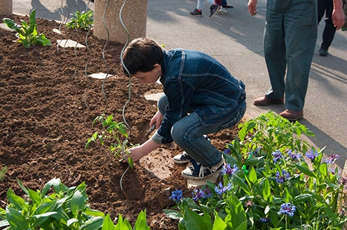 Jardin Gilles Nadé Vignette