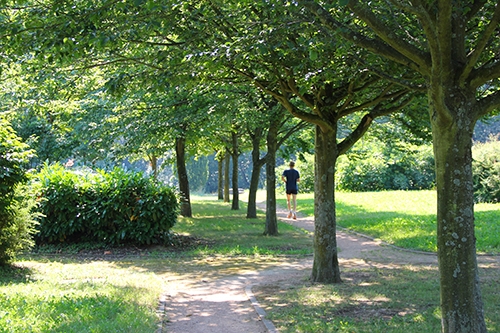 Jardin des Ombrages Vignette