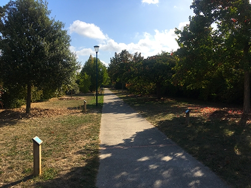 Jardin des Merveilles Vignette