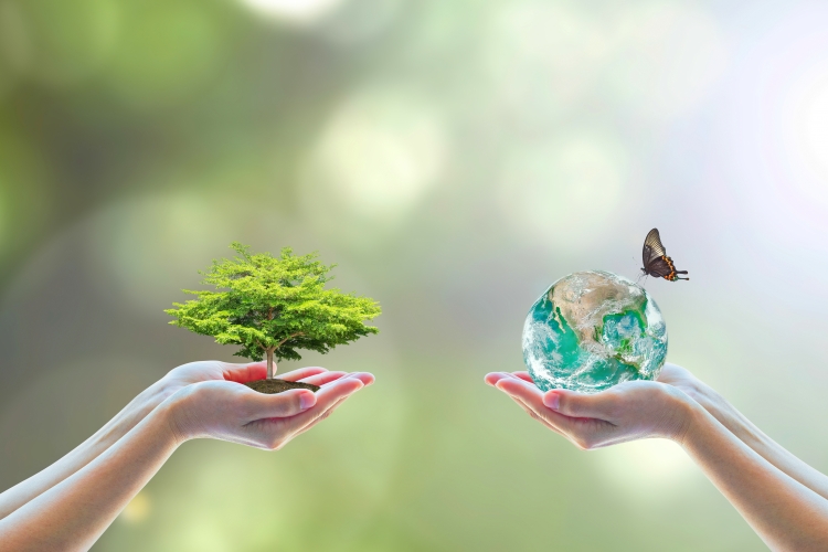 Atlas de la biodiversité Vignette