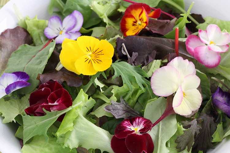 Fleurs comestibles Vignette