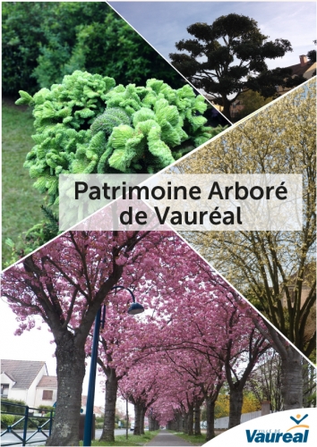 Patrimoine arborée de Vauréal