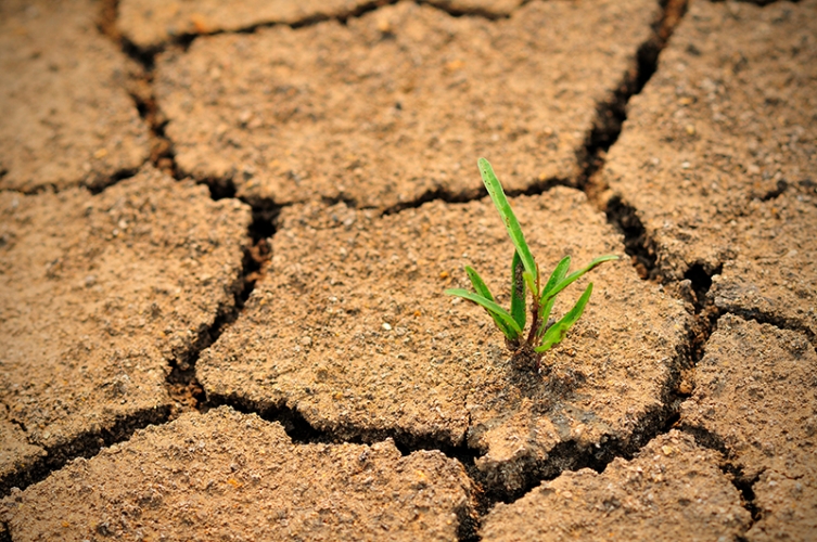 Etat de catastrophe naturelle