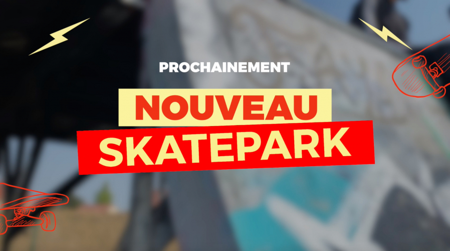 CONSULTATION SKATEPARK