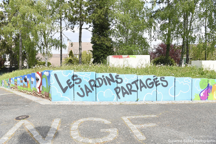 Jardin partagé 4C