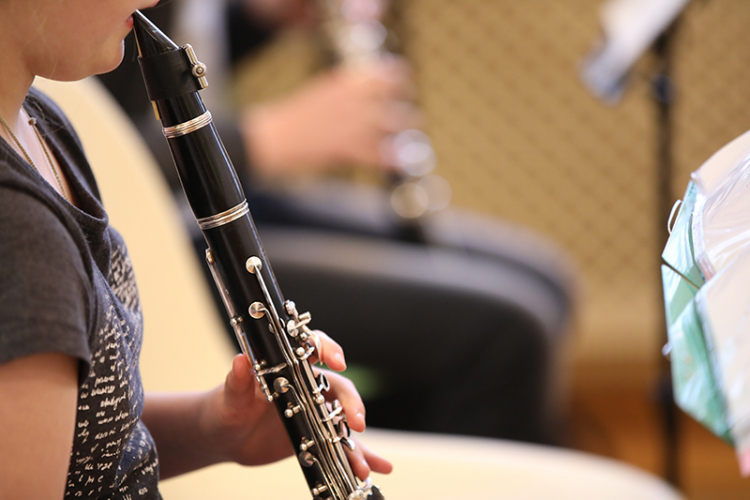 Stage harmonie junior