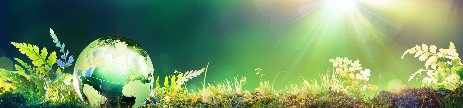 Actions respectueuses de l'environnement Vignette